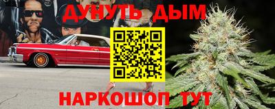 шишки Кинель