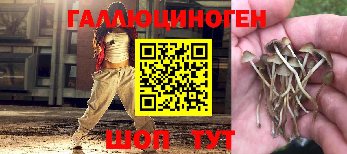 Амфетамин Красноармейск