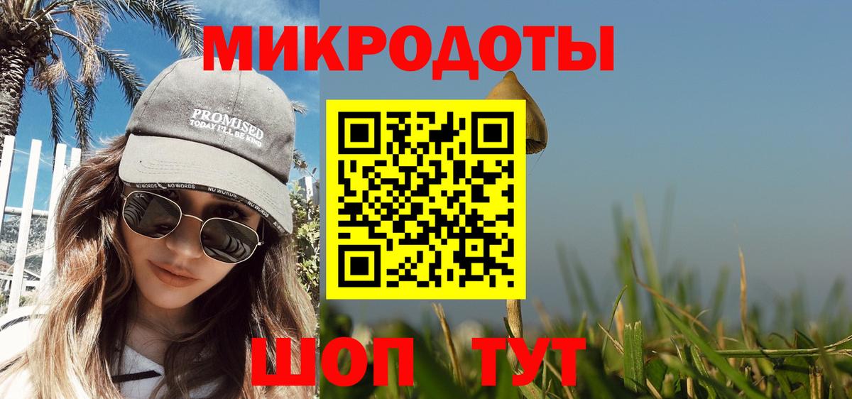 Галлюциногенные грибы Cubensis Красноармейск