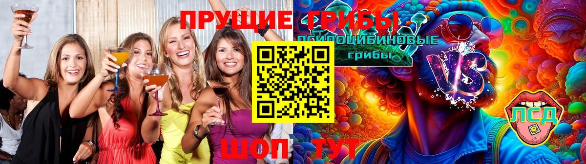 Красноармейск  Галлюциногенные грибы мухоморы  Вход с VPN 